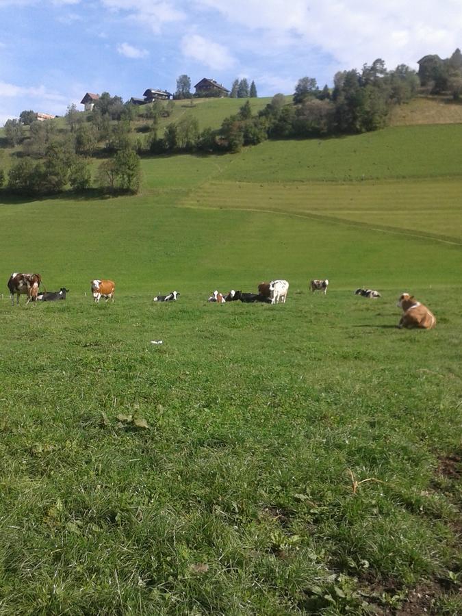 Garni Iosc Hotell San Vigilio Di Marebbe Eksteriør bilde